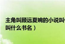 主角叫顧遠(yuǎn)夏婉的小說叫什么名字（主角叫顧遠(yuǎn)夏婉的小說叫什么書名）