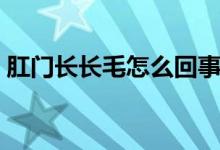 肛門長長毛怎么回事（肛門長毛是怎么回事）