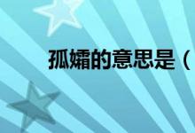 孤孀的意思是（孤孀的意思是什么）