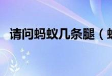 請(qǐng)問(wèn)螞蟻幾條腿（螞蟻幾條腿蜜蜂幾條腿）
