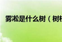 霧凇是什么樹(shù)（樹(shù)枝上的霧凇怎么形成的）