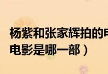 楊紫和張家輝拍的電影（張家輝和楊紫合作的電影是哪一部）