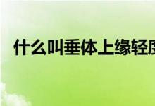 什么叫垂體上緣輕度隆起（什么叫垂線段）