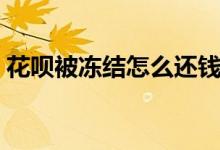 花唄被凍結(jié)怎么還錢（花唄被凍結(jié)怎么解封）