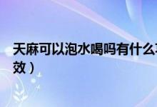 天麻可以泡水喝嗎有什么功效（天麻可以泡水喝嗎有什么功效）