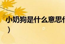 小奶狗是什么意思什么梗（小奶狗是什么意思）