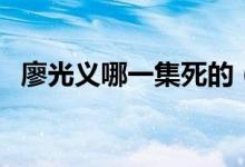 廖光義哪一集死的（廖光義將軍怎么死的）