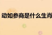 動如參商是什么生肖（動如參商是什么意思）