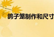 鴿子籠制作和尺寸（鴿子籠制作方法圖）