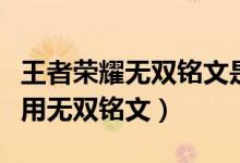 王者榮耀無雙銘文是什么（王者榮耀哪些英雄用無雙銘文）