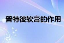 普特彼軟膏的作用（普特彼軟膏主治什么）