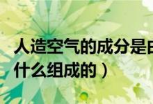 人造空氣的成分是由什么組成的（人造空氣由什么組成的）
