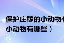保護莊稼的小動物有哪些怎么畫（保護莊稼的小動物有哪些）