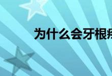 為什么會牙根疼（為什么會牙酸）