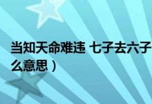 當(dāng)知天命難違 七子去六子回是什么意思（七子去六子回是什么意思）