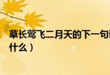 草長鶯飛二月天的下一句詩（草長鶯飛二月天的下一句詩是什么）