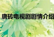 唐磚電視劇劇情介紹（唐磚電視劇劇情簡(jiǎn)介）