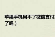 蘋果手機用不了微信支付怎么辦（蘋果手機用不了微信支付了嗎）
