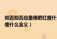 知否知否應(yīng)是綠肥紅瘦什么時(shí)候出的（知否知否應(yīng)是綠肥紅瘦什么含義）