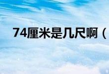 74厘米是幾尺?。?4厘米是幾尺幾的腰）