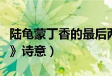 陸龜蒙丁香的最后兩句的意思（陸龜蒙《丁香》詩意）