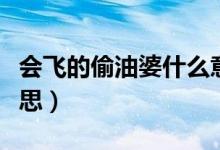 會(huì)飛的偷油婆什么意思（會(huì)飛的偷油婆什么意思）