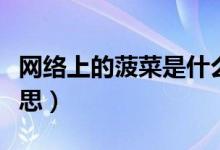 網(wǎng)絡(luò)上的菠菜是什么意思（網(wǎng)上菠菜是什么意思）