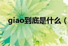 giao到底是什么（giao到底是什么意思）