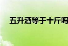 五升酒等于十斤嗎（五升酒等于多少斤）