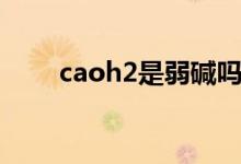 caoh2是弱堿嗎（caoh2是沉淀嗎）