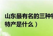 山東最有名的三種特產(chǎn)是什么（山東最著名的特產(chǎn)是什么）