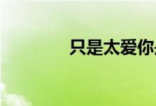 只是太愛你是什么風格的歌