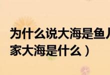 為什么說大海是魚兒的家（假如大海是魚兒的家大海是什么）