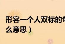 形容一個(gè)人雙標(biāo)的句子（形容一個(gè)人雙標(biāo)是什么意思）