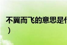 不翼而飛的意思是什么（不翼而飛的意思是啥）
