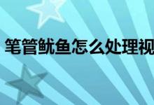 筆管魷魚怎么處理視頻（筆管魷魚怎么清洗）