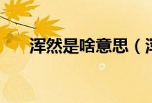 渾然是啥意思（渾然一片是什么意思）