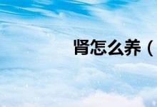 腎怎么養(yǎng)（平時(shí)怎么養(yǎng)腎）