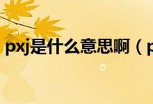 pxj是什么意思?。╬xj是什么意思嗶哩嗶哩）