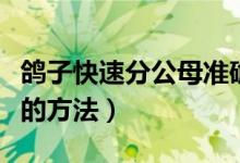 鴿子快速分公母準(zhǔn)確的方法（鴿子快速分公母的方法）