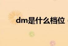 dm是什么檔位（dm是什么單位的）