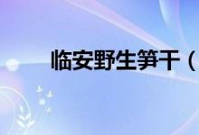 臨安野生筍干（la醫(yī)師是個什么證）