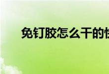 免釘膠怎么干的快（免釘膠怎么用的）