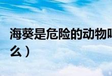 海葵是危險(xiǎn)的動(dòng)物嗎（?？麑儆趧?dòng)物原因是什么）