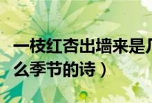 一枝紅杏出墻來是幾月（一枝紅杏出墻來是什么季節(jié)的詩）