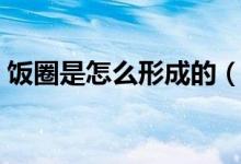 飯圈是怎么形成的（飯圈里斷層是什么意思）