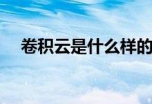 卷積云是什么樣的（卷積云是什么意思）