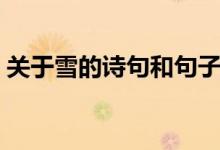 關(guān)于雪的詩句和句子（關(guān)于雪的詩句有哪些）