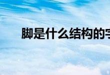 腳是什么結(jié)構(gòu)的字體（腳是什么結(jié)構(gòu)）