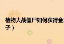 植物大戰(zhàn)僵尸如何獲得金坷垃（植物大戰(zhàn)僵尸如何獲得石果子）